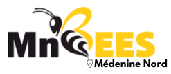 MnBees Médenine - Médenine Nord